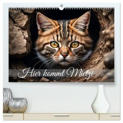 Cover Hier kommt Mietzi (hochwertiger Premium Wandkalender 2026 DIN A2 quer), Kunstdruck in Hochglanz