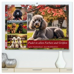 Pudel in allen Farben und Größen (hochwertiger Premium Wandkalender 2026 DIN A2 quer), Kunstdruck in Hochglanz