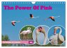 The Power Of Pink (Wandkalender 2026... - Bild 1