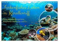 Farbenfrohes Leben im Korallenriff (Wandkalender 2026 DIN A4 quer), CALVENDO Monatskalender Cover Farbenfrohes Leben im Korallenriff (Wandkalender 2026 DIN A4 quer), CALVENDO Monatskalender