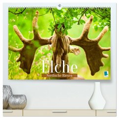 Elche: Nordische Riesen (hochwertiger Premium Wandkalender 2026 DIN A2 quer), Kunstdruck in Hochglanz Elche: Nordische Riesen (hochwertiger Premium Wandkalender 2026 DIN A2 quer), Kunstdruck in Hochglanz
