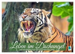 Cover Leben im Dschungel: Der Regenwald ist ein Paradies für Tiere (Wandkalender 2026 DIN A2 quer), CALVENDO Monatskalender