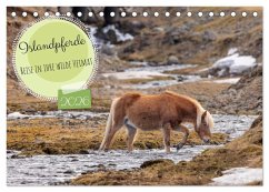 Islandpferde - Reise in ihre wilde Heimat (Tischkalender 2026 DIN A5 quer), CALVENDO Monatskalender Islandpferde - Reise in ihre wilde Heimat (Tischkalender 2026 DIN A5 quer), CALVENDO Monatskalender