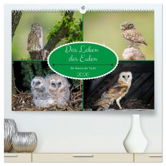 Das Leben der Eulen, die Damen der Nacht (hochwertiger Premium Wandkalender 2026 DIN A2 quer), Kunstdruck in Hochglanz Cover Das Leben der Eulen, die Damen der Nacht (hochwertiger Premium Wandkalender 2026 DIN A2 quer), Kunstdruck in Hochglanz