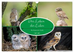Das Leben der Eulen, die Damen der Nacht (Wandkalender 2026 DIN A3 quer), CALVENDO Monatskalender Cover Das Leben der Eulen, die Damen der Nacht (Wandkalender 2026 DIN A3 quer), CALVENDO Monatskalender