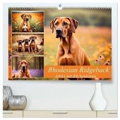 Cover Rhodesian Ridgeback - Athlet mit Rückenkamm (hochwertiger Premium Wandkalender 2026 DIN A2 quer), Kunstdruck in Hochglanz