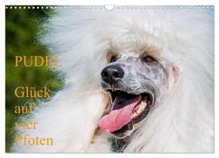 Pudel - Glück auf vier Pfoten (Wandkalender 2026 DIN A3 quer), CALVENDO Monatskalender