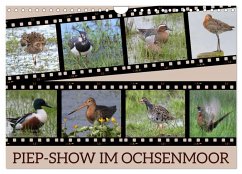 Cover PIEP-SHOW im Ochsenmoor (Wandkalender 2026 DIN A4 quer), CALVENDO Monatskalender