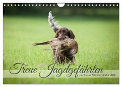 Treue Jagdgefährten Der kleine Münsterländer (Wandkalender 2026 DIN A4 quer), CALVENDO Monatskalender Treue Jagdgefährten Der kleine Münsterländer (Wandkalender 2026 DIN A4 quer), CALVENDO Monatskalender