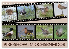 PIEP-SHOW im Ochsenmoor (Tischkalender 2026 DIN A5 quer), CALVENDO Monatskalender
