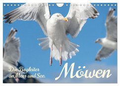 Möwen die Begleiter an Meer und See (Wandkalender 2026 DIN A4 quer), CALVENDO Monatskalender Möwen die Begleiter an Meer und See (Wandkalender 2026 DIN A4 quer), CALVENDO Monatskalender