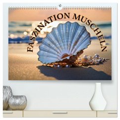 Faszination Muscheln (hochwertiger Premium Wandkalender 2026 DIN A2 quer), Kunstdruck in Hochglanz