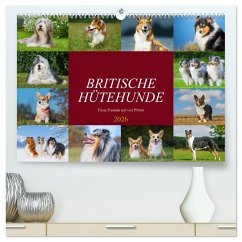Britische Hütehunde - Treue Freunde auf vier Pfoten (hochwertiger Premium Wandkalender 2026 DIN A2 quer), Kunstdruck in Hochglanz
