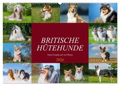 Britische Hütehunde - Treue Freunde auf vier Pfoten (Wandkalender 2026 DIN A2 quer), CALVENDO Monatskalender