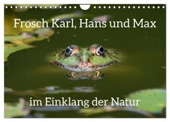 Frosch Karl, Hans und Max im Einklang der Natur (Wandkalender 2026 DIN A4 quer), CALVENDO Monatskalender Frosch Karl, Hans und Max im Einklang der Natur (Wandkalender 2026 DIN A4 quer), CALVENDO Monatskalender