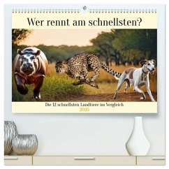 Cover Wer rennt am schnellsten? (hochwertiger Premium Wandkalender 2026 DIN A2 quer), Kunstdruck in Hochglanz