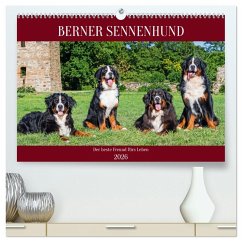 Berner Sennenhund - Der beste Freund fürs Leben (hochwertiger Premium Wandkalender 2026 DIN A2 quer), Kunstdruck in Hochglanz