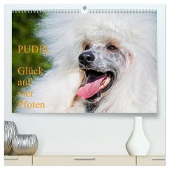 Pudel - Glück auf vier Pfoten (hochwertiger Premium Wandkalender 2026 DIN A2 quer), Kunstdruck in Hochglanz