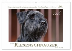 Cover Mit dem Riesenschnauzer durch das Jahr (Wandkalender 2026 DIN A2 quer), CALVENDO Monatskalender