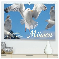 Möwen die Begleiter an Meer und See (hochwertiger Premium Wandkalender 2026 DIN A2 quer), Kunstdruck in Hochglanz Möwen die Begleiter an Meer und See (hochwertiger Premium Wandkalender 2026 DIN A2 quer), Kunstdruck in Hochglanz