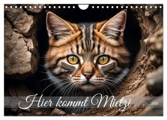 Cover Hier kommt Mietzi (Wandkalender 2026 DIN A4 quer), CALVENDO Monatskalender