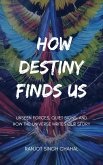 How Destiny Finds Us (eBook, ePUB) How Destiny Finds Us (eBook, ePUB)