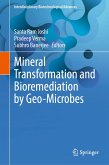Mineral Transformation and Bioremediation by Geo-Microbes (eBook, PDF)
