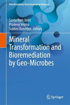 Mineral Transformation and Bioremediation by Geo-Microbes (eBook, PDF)