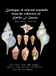 Catalogue of selected seashells from... - Bild 1
