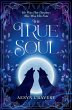 The True Soul - Bild 1