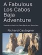 A Fabulous Los Cabos Baja Adventure - Bild 1