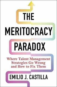 Cover The Meritocracy Paradox