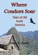 Where Condors Soar - Bild 1