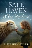 Safe Haven Safe Haven
