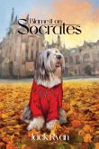 Blame it on Socrates Blame it on Socrates