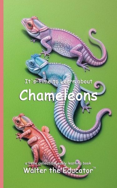 It's Time to Learn about Chameleons