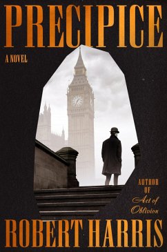 Cover Precipice
