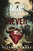 Now or Never (eBook, ePUB)