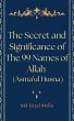 The Secret and Significance of The 99... - Bild 1
