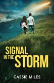 Signal In The Storm (eBook, ePUB)