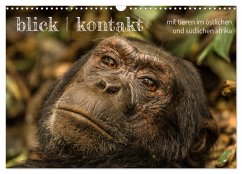 blick kontakt mit tieren im östlichen und südlichen afrika (Wandkalender 2026 DIN A3 quer), CALVENDO Monatskalender blick kontakt mit tieren im östlichen und südlichen afrika (Wandkalender 2026 DIN A3 quer), CALVENDO Monatskalender