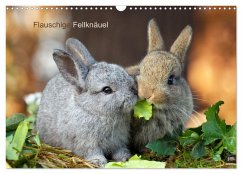 Flauschige Fellknäuel (Wandkalender 2026 DIN A3 quer), CALVENDO Monatskalender Flauschige Fellknäuel (Wandkalender 2026 DIN A3 quer), CALVENDO Monatskalender