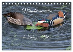 Mandarinenenten, die Liebe zur Natur (Tischkalender 2026 DIN A5 quer), CALVENDO Monatskalender