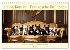 Cover Kleine Könige - Französische Bulldoggen (Wandkalender 2026 DIN A4 quer), CALVENDO Monatskalender