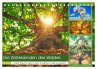 Die Zeitreisenden des Waldes... - Bild 1