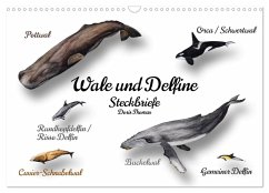 Wale und Delfine Steckbriefe (Wandkalender 2026 DIN A3 quer), CALVENDO Monatskalender