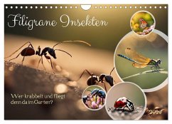 Filigrane Insekten (Wandkalender 2026 DIN A4 quer), CALVENDO Monatskalender