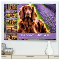 Cover Irish Setter - Anmut pur (hochwertiger Premium Wandkalender 2026 DIN A2 quer), Kunstdruck in Hochglanz