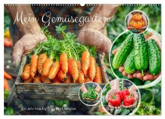 Cover Mein Gemüsegarten - Ein Jahr knackig frisches Gemüse (Wandkalender 2026 DIN A2 quer), CALVENDO Monatskalender