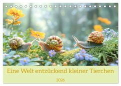 Cover Eine Welt entzückend kleiner Tierchen (Tischkalender 2026 DIN A5 quer), CALVENDO Monatskalender